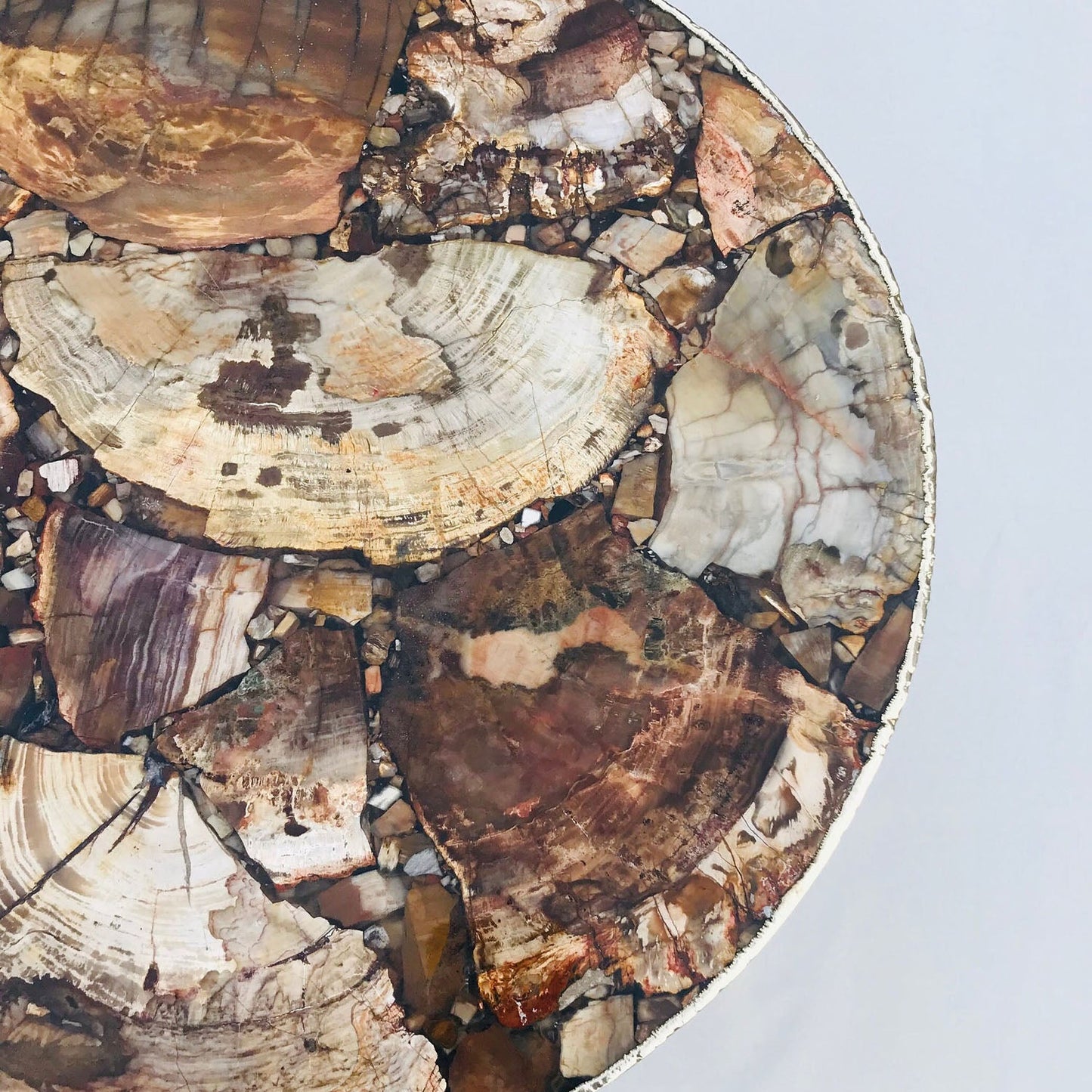 Petrified Wood Agate Round Edge Side/Coffee Table